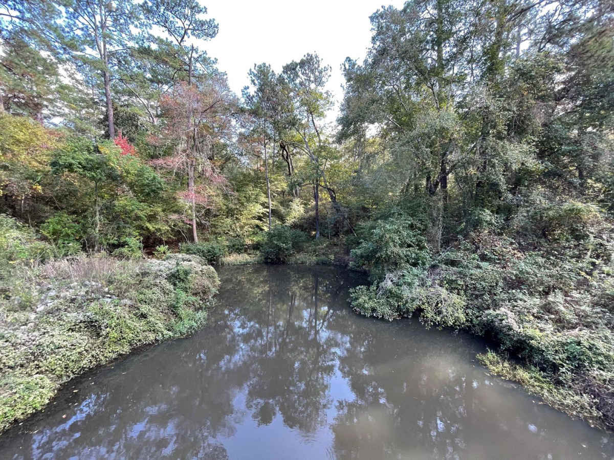 Big Creek Scenic Route photo 3