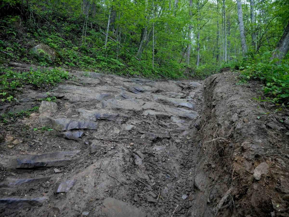 RH 94 trail photo