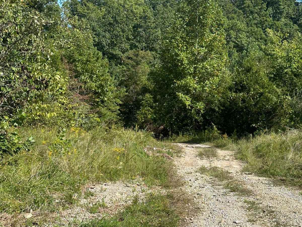 214 trail photo