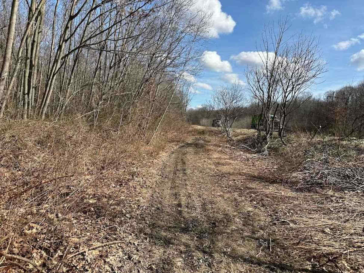 Locust Gap 80 photo 3