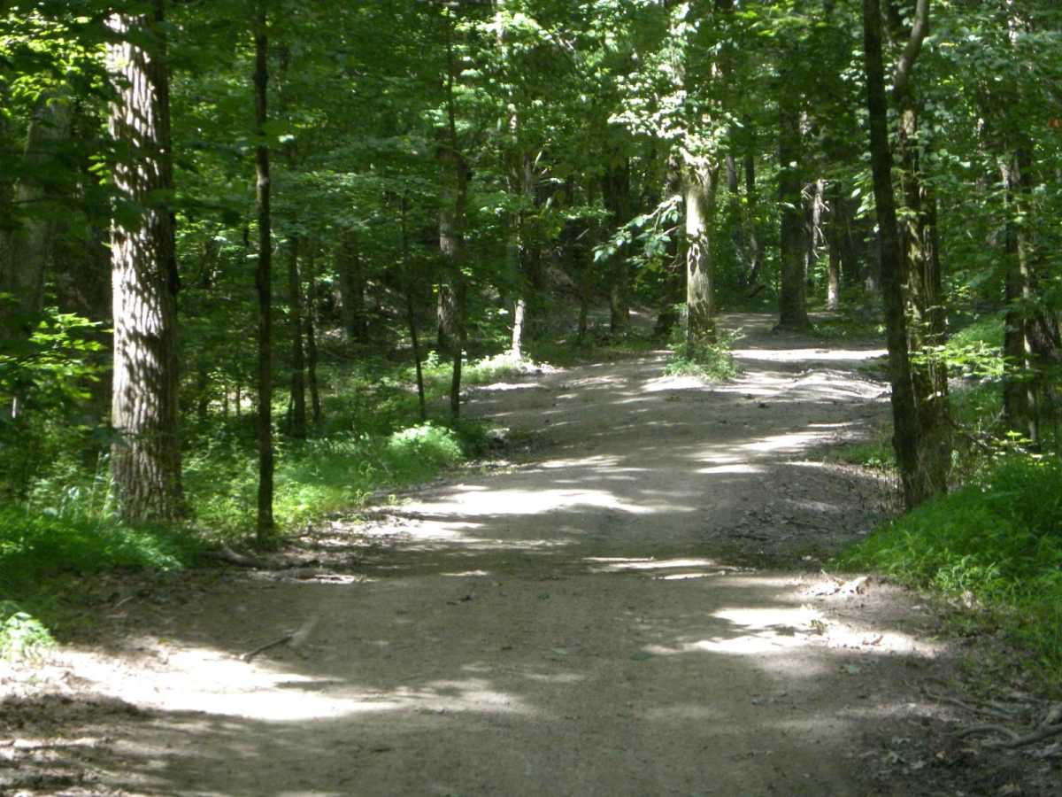Trail 2D(easy) photo 4