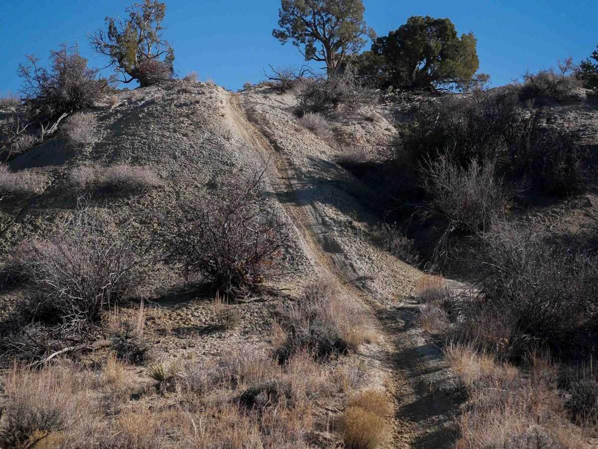 Ridge Singletrack photo 6