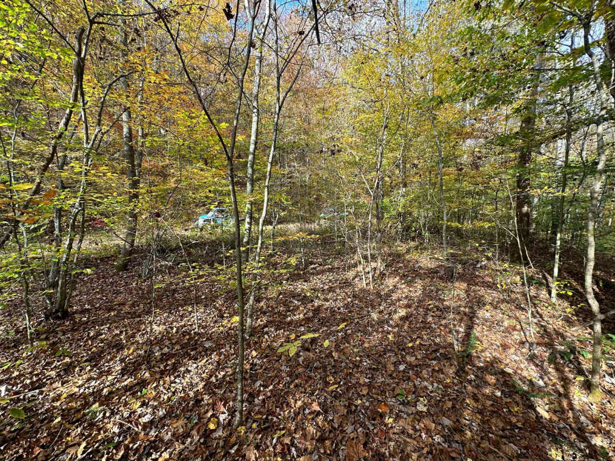 Sawblade trail photo