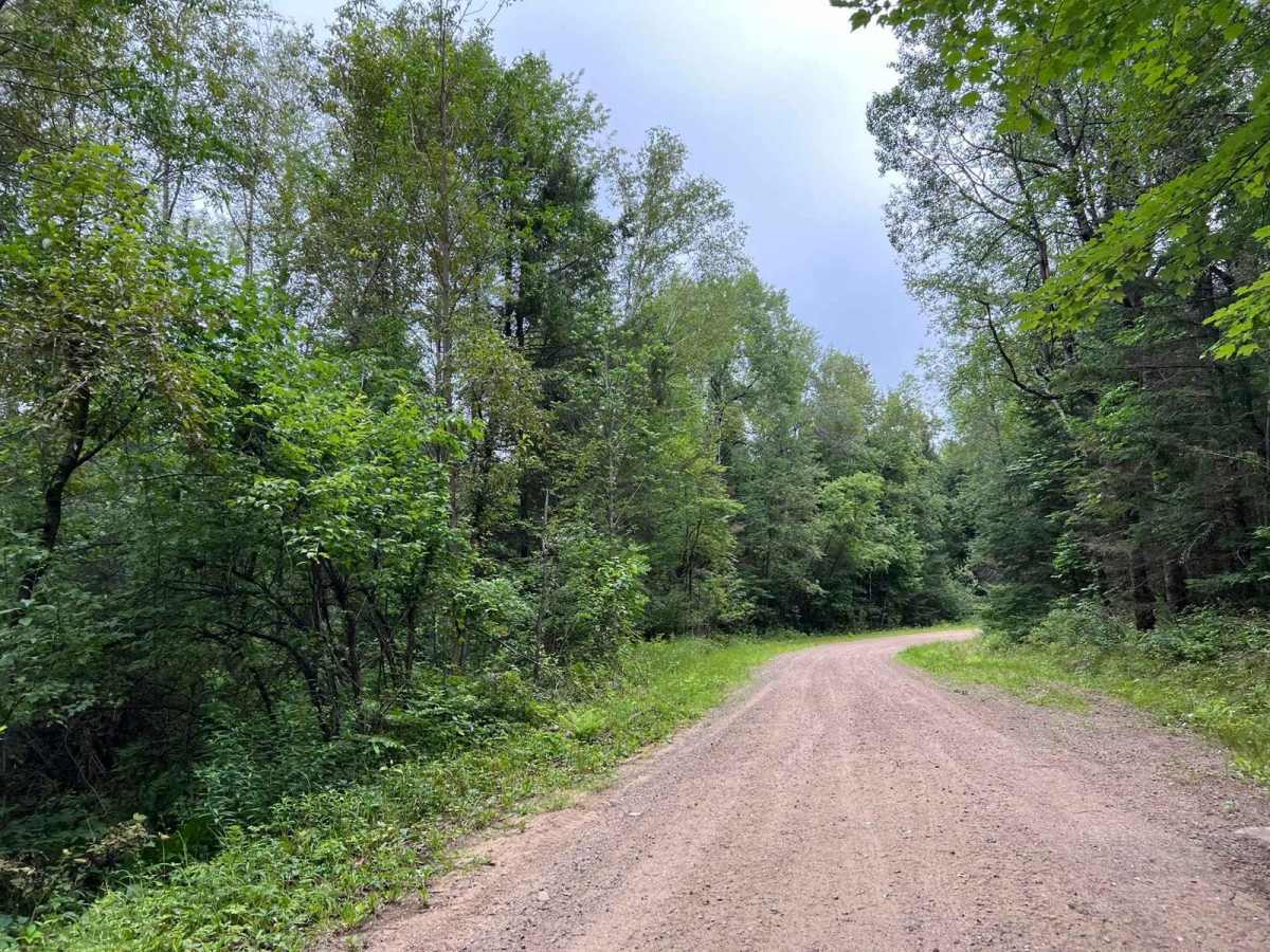 Jim Hausinger Memorial Trail photo 6