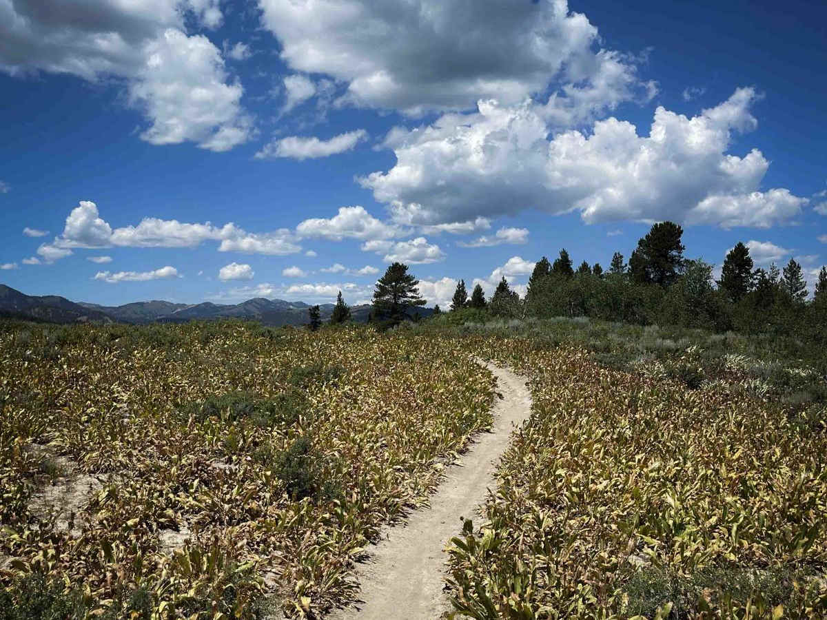 Wally World trail photo