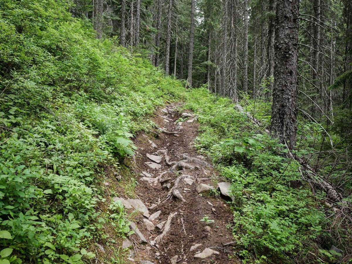 Flume Creek photo 3