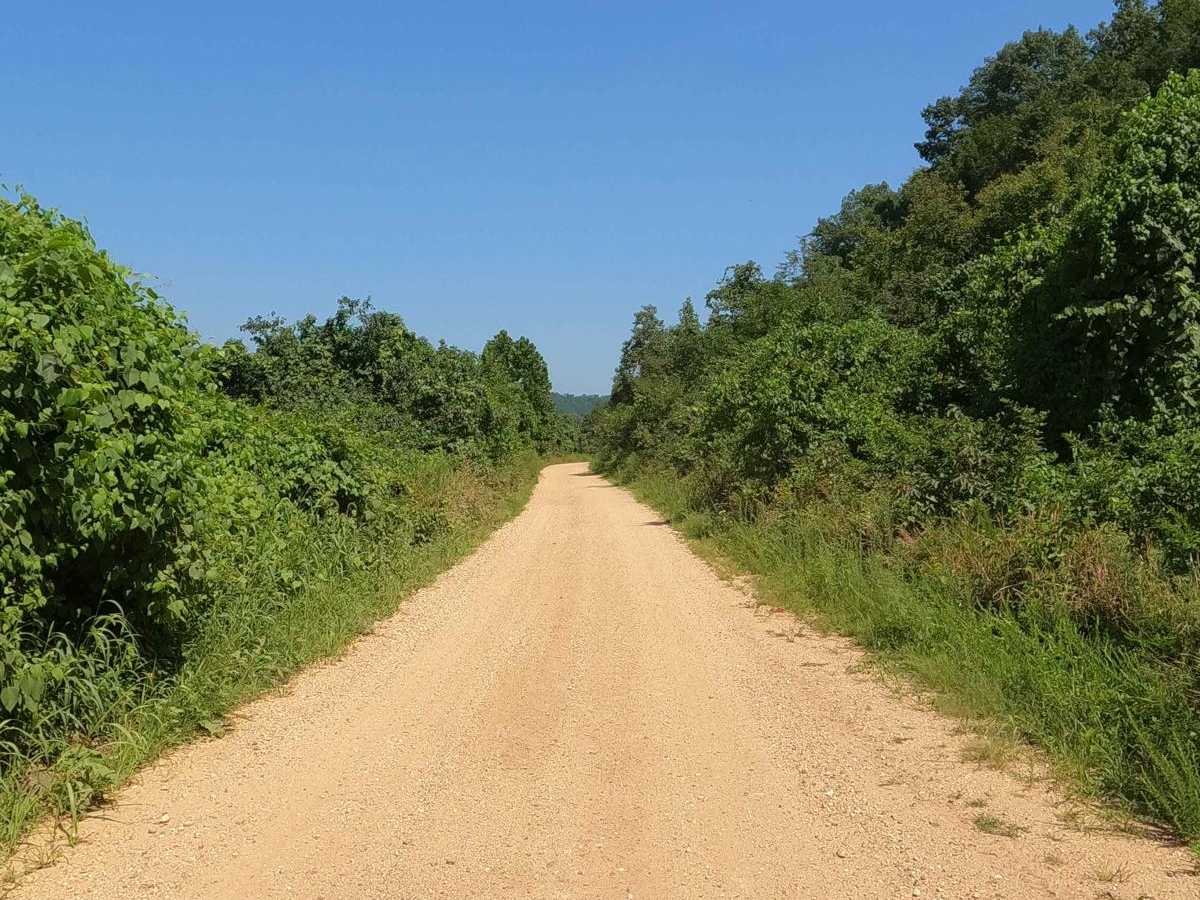 Reynolds - CR 468 photo 2