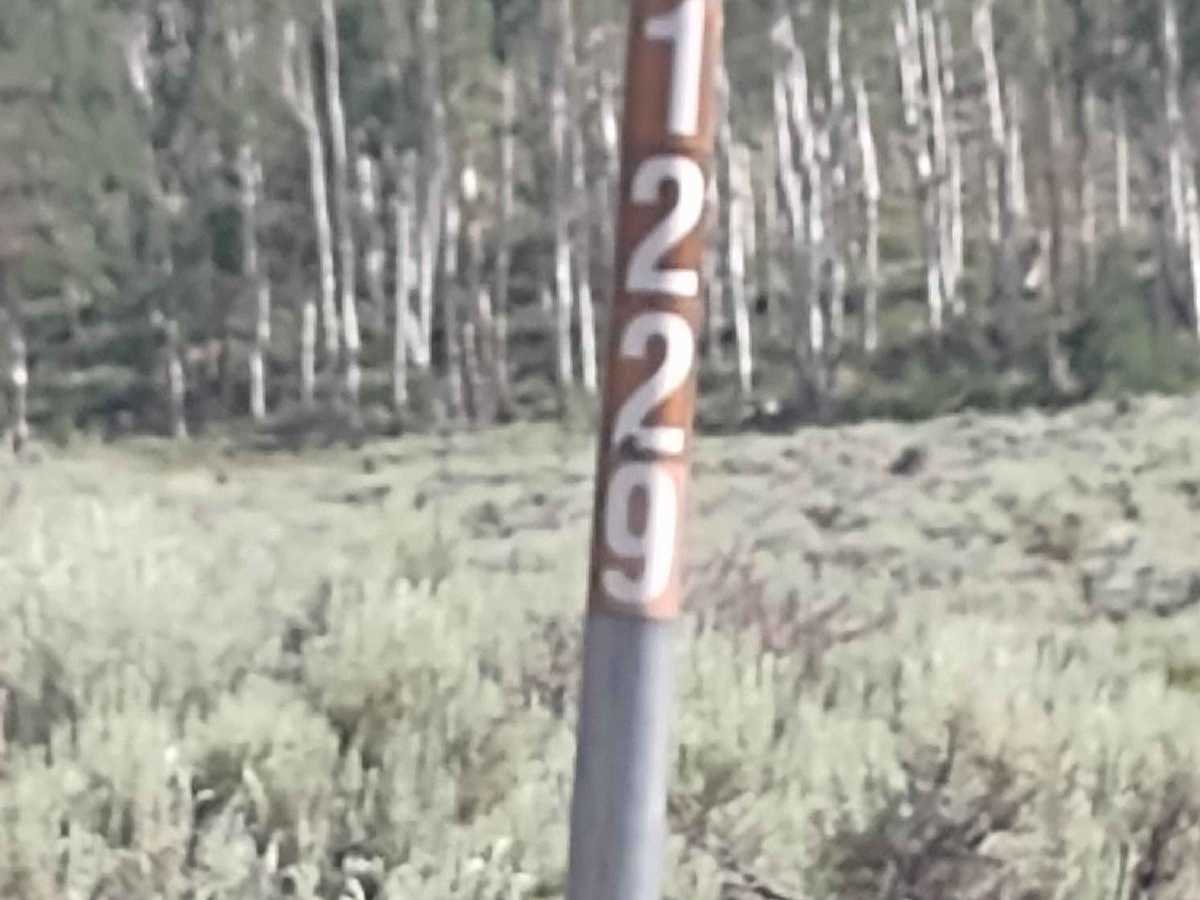 Papa Bear Spur (FS 41229 & 42467) photo 2