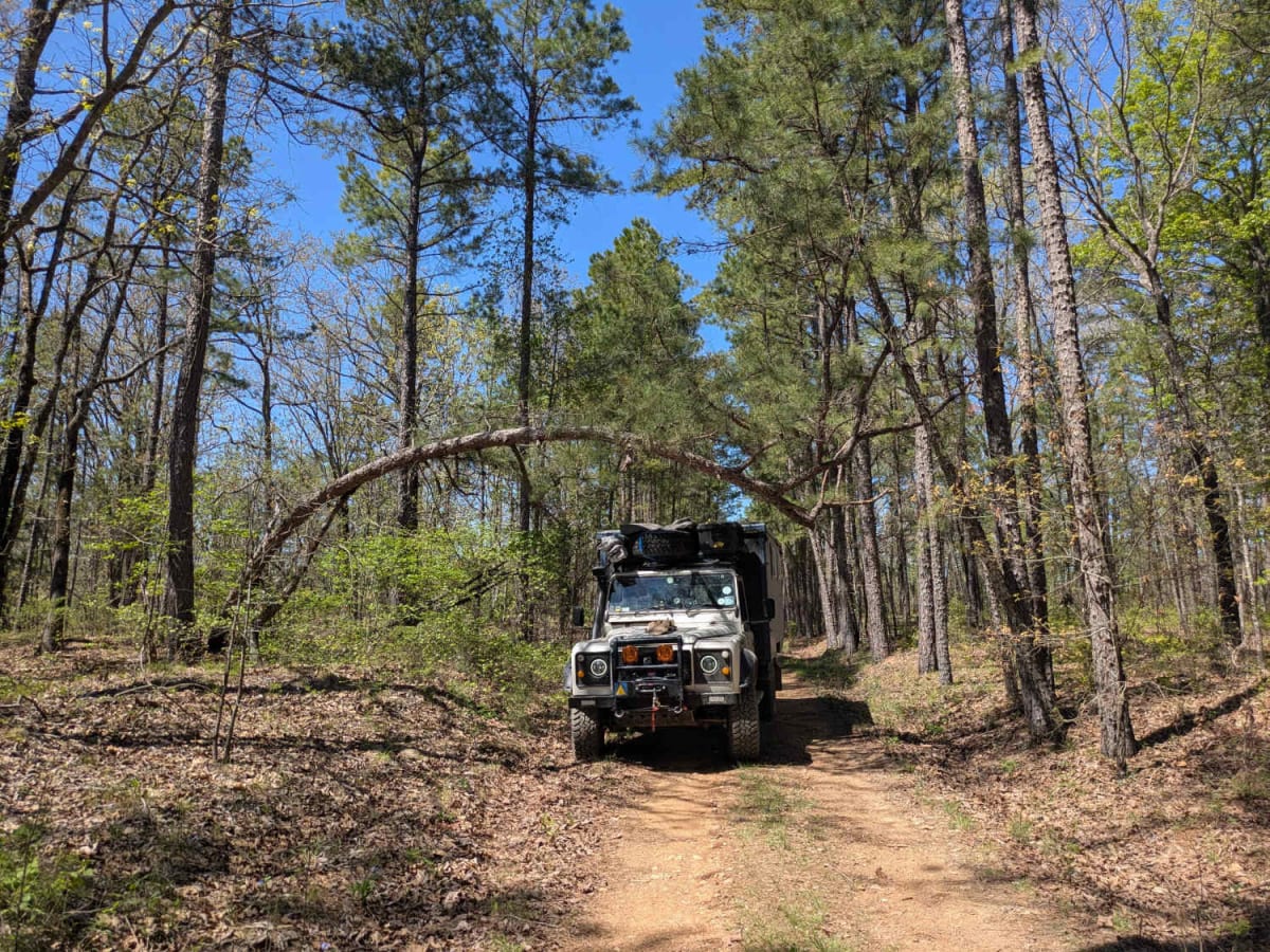 53350 trail photo