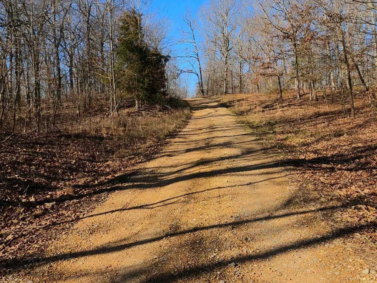 Back Mail Route Road - FS 312 photo 2