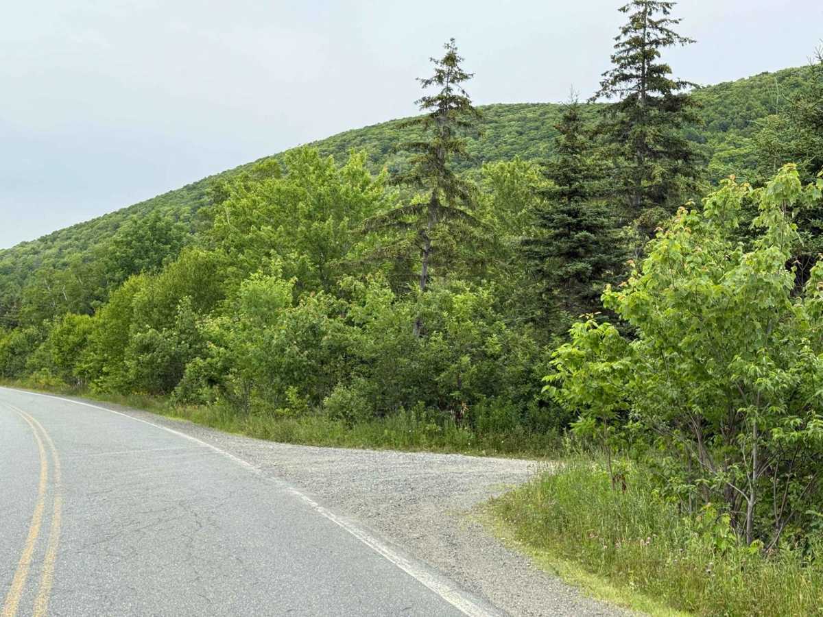 Lewis Mountain Road photo 2