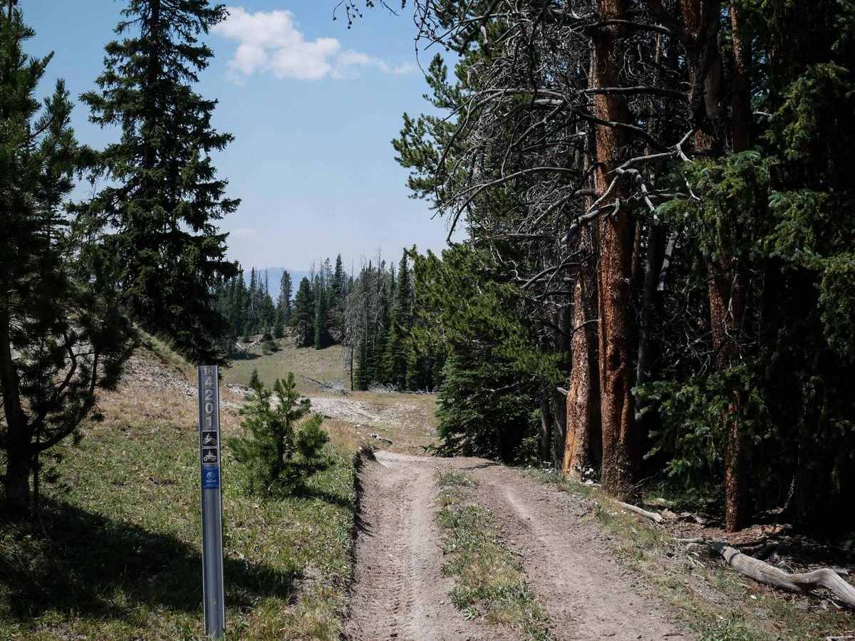 Beef Pasture ATV trail photo