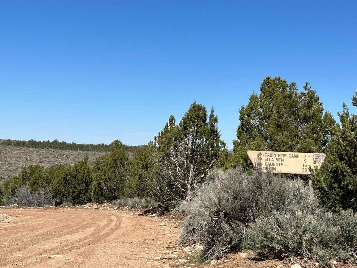 Bunker Pass Road trail photo