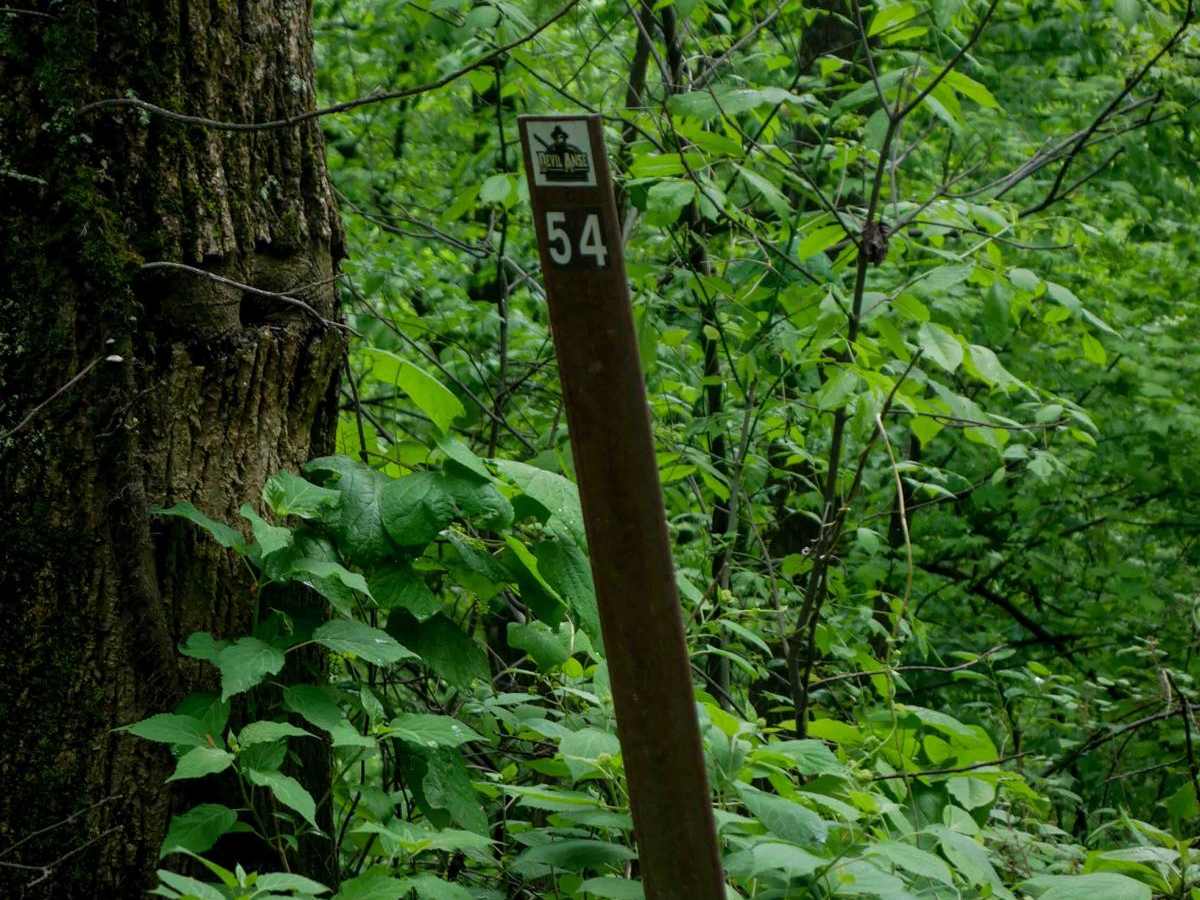 DA 54 photo 5