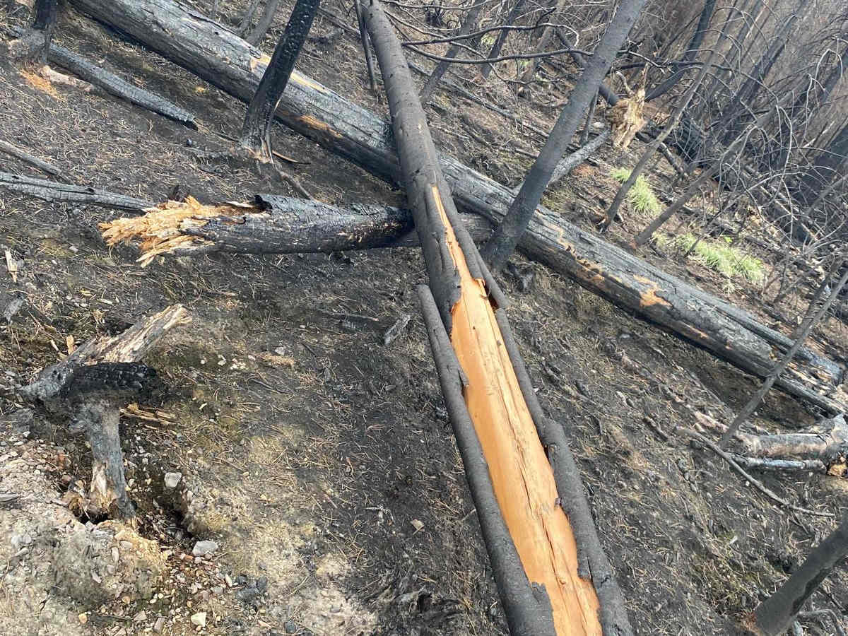 Emery Creek photo 5