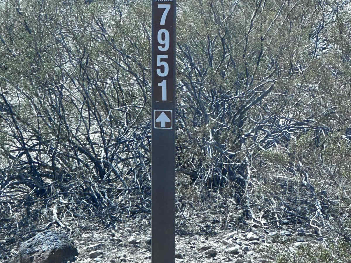 BLM Route 7951 trail photo