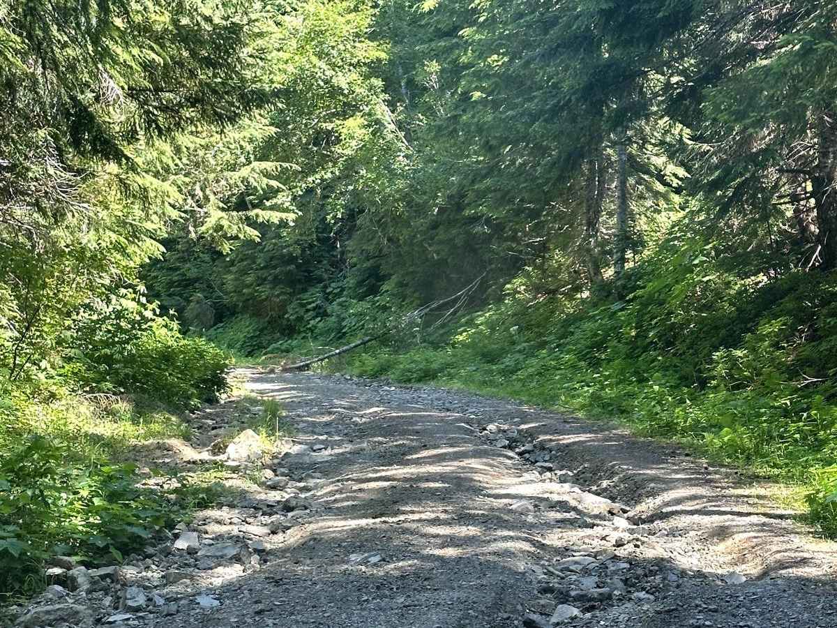 Smith Creek Road photo 5