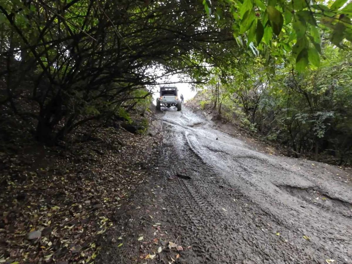 Blue Trail photo 4