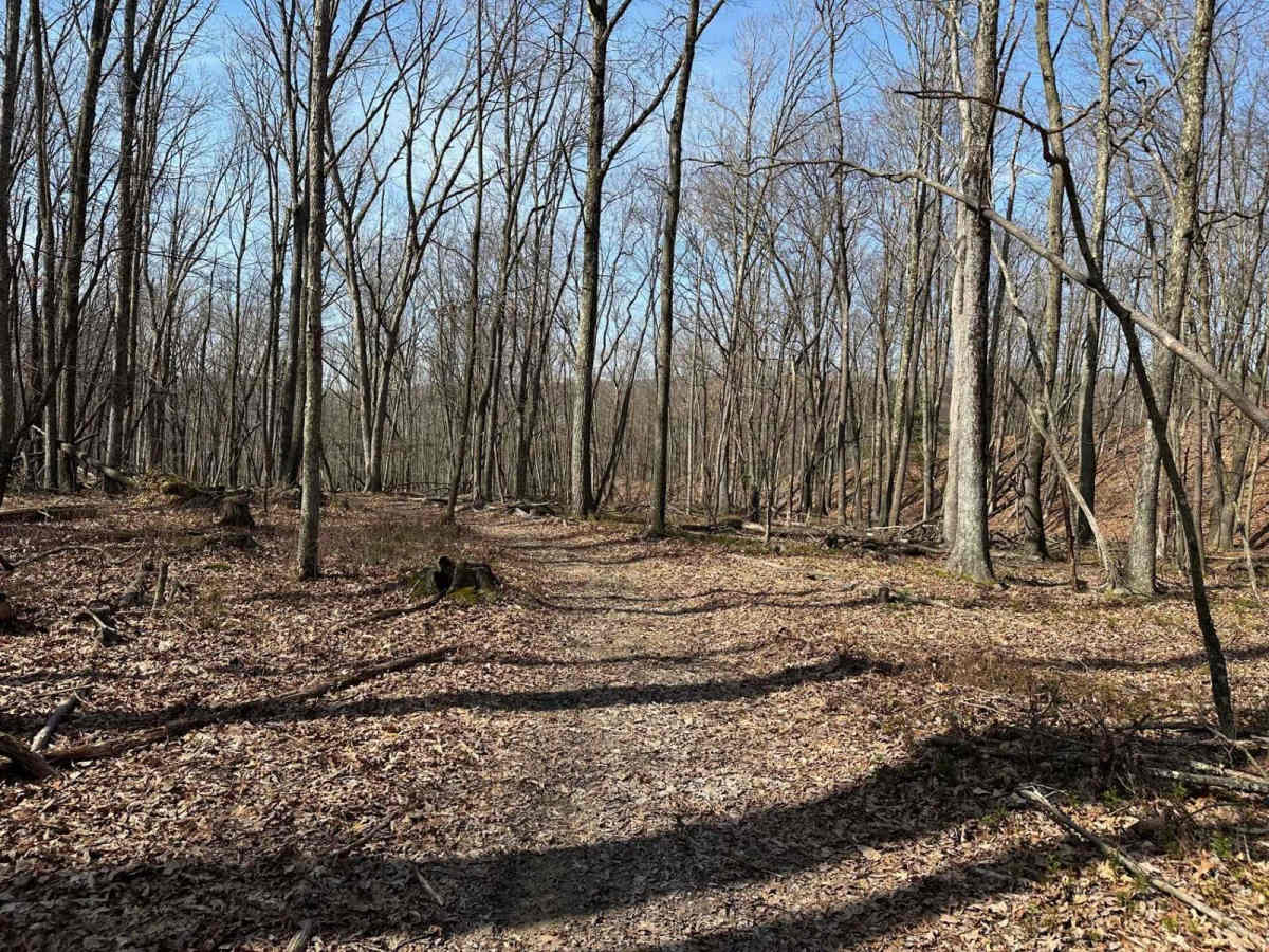 Ashland Single Track 1 trail photo