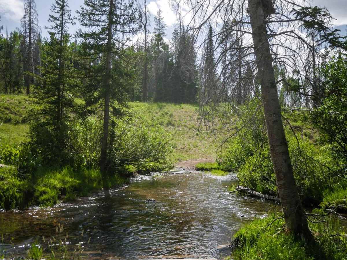 Farwell Mountain ATV Trail trail photo