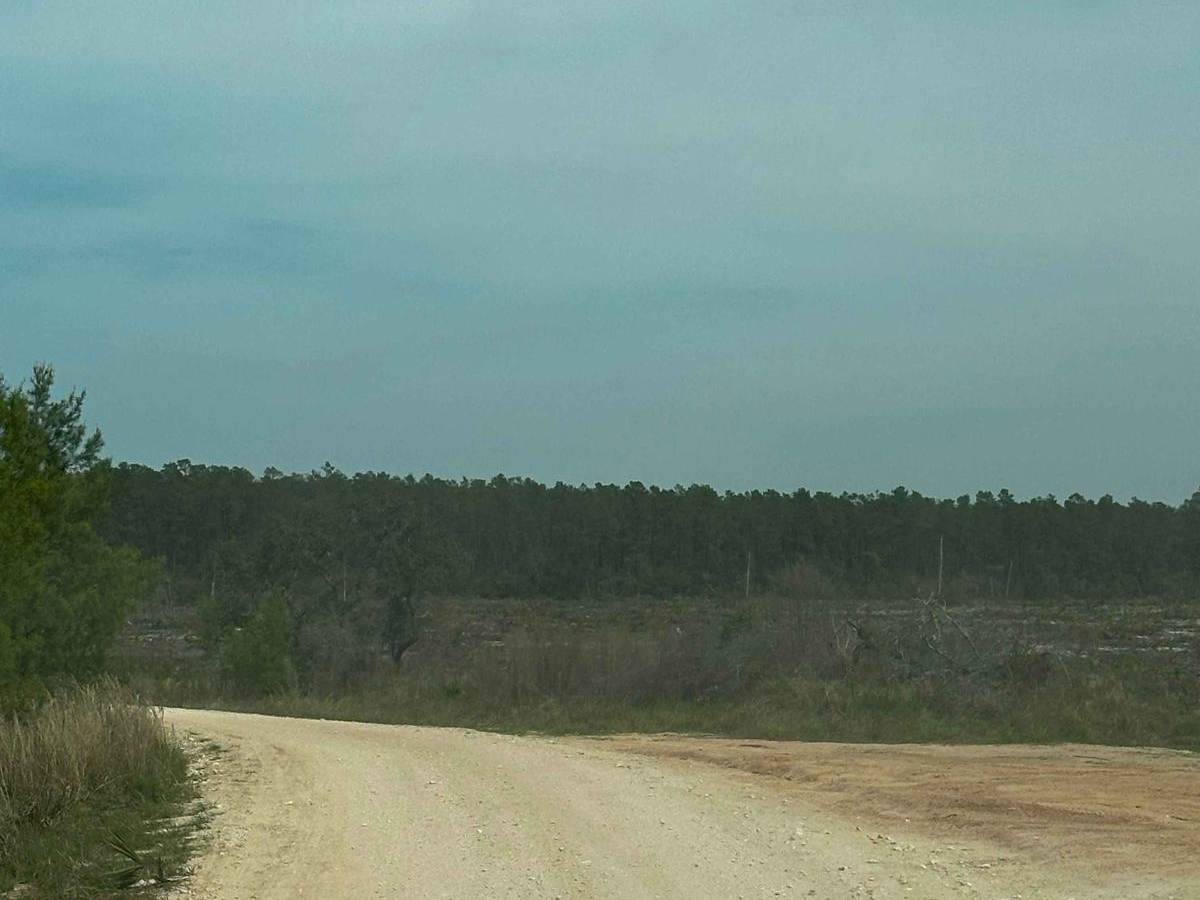 Lake Eaton - ONF-5 photo 5