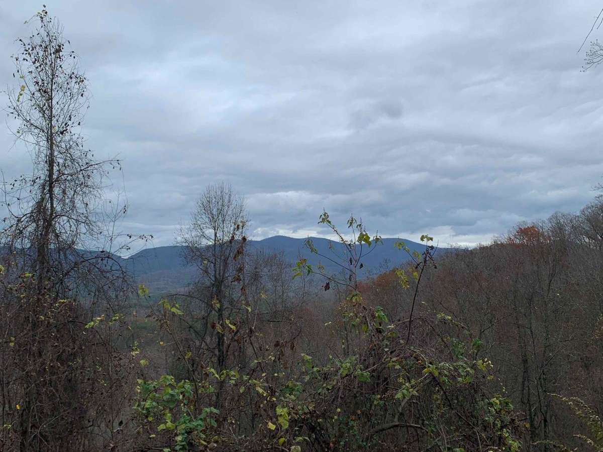 Little Gassaway - Trail NF45 photo 4