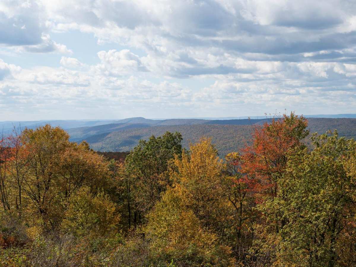 Greenlee Road trail photo