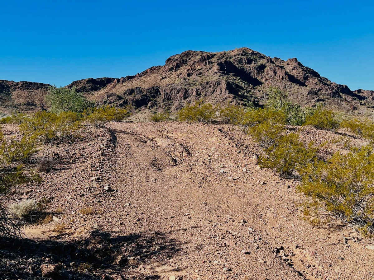 Ocotillo Adjacent Run trail photo