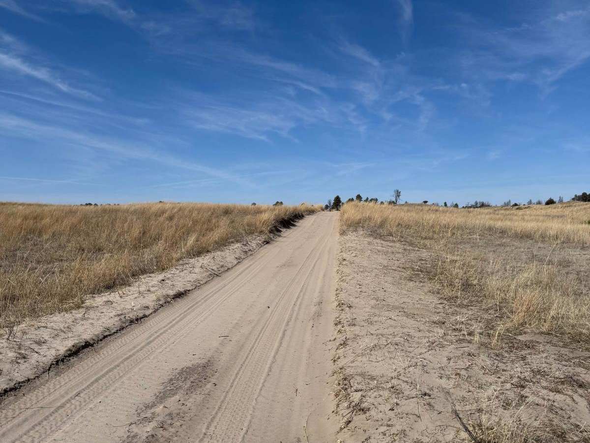 Forest Road 277 - Whitetail / Weggener photo 2