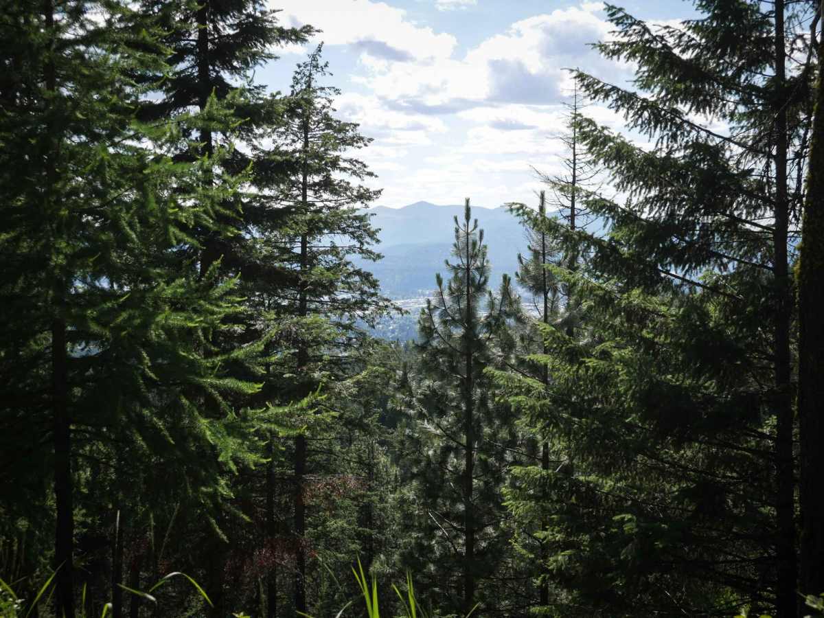 Canfield OHV photo 6