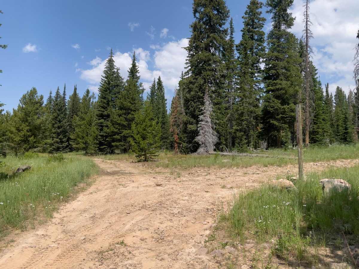Pit & Page Hill (FR 80170) photo 3
