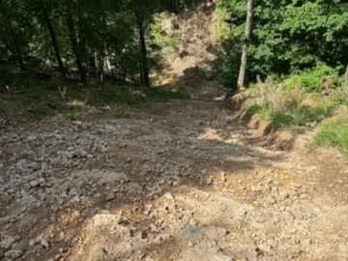 Dale's Trail photo 3