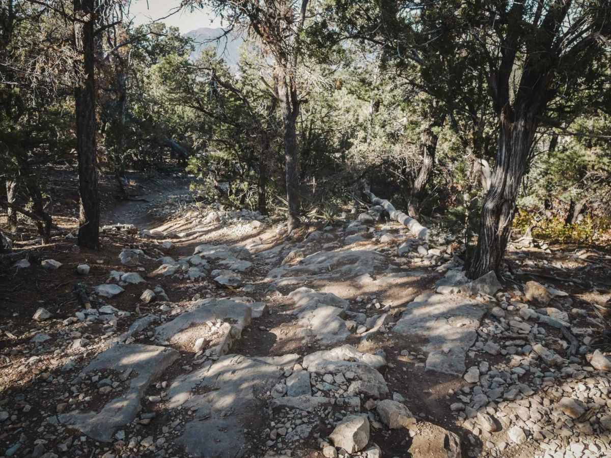 Blue Ribbon trail photo
