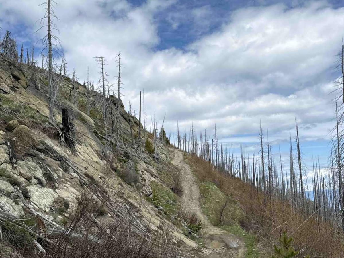 Terrace Mountain Road photo 4
