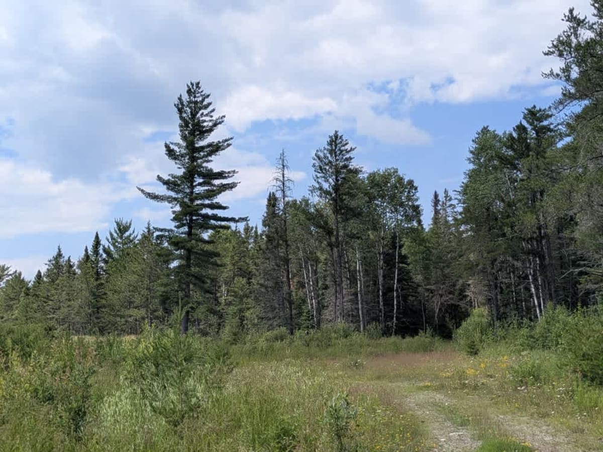 Keeley Creek photo 6