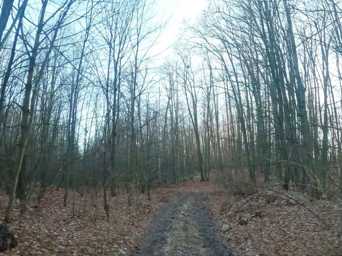 Ups, Downs, and Arounds trail photo