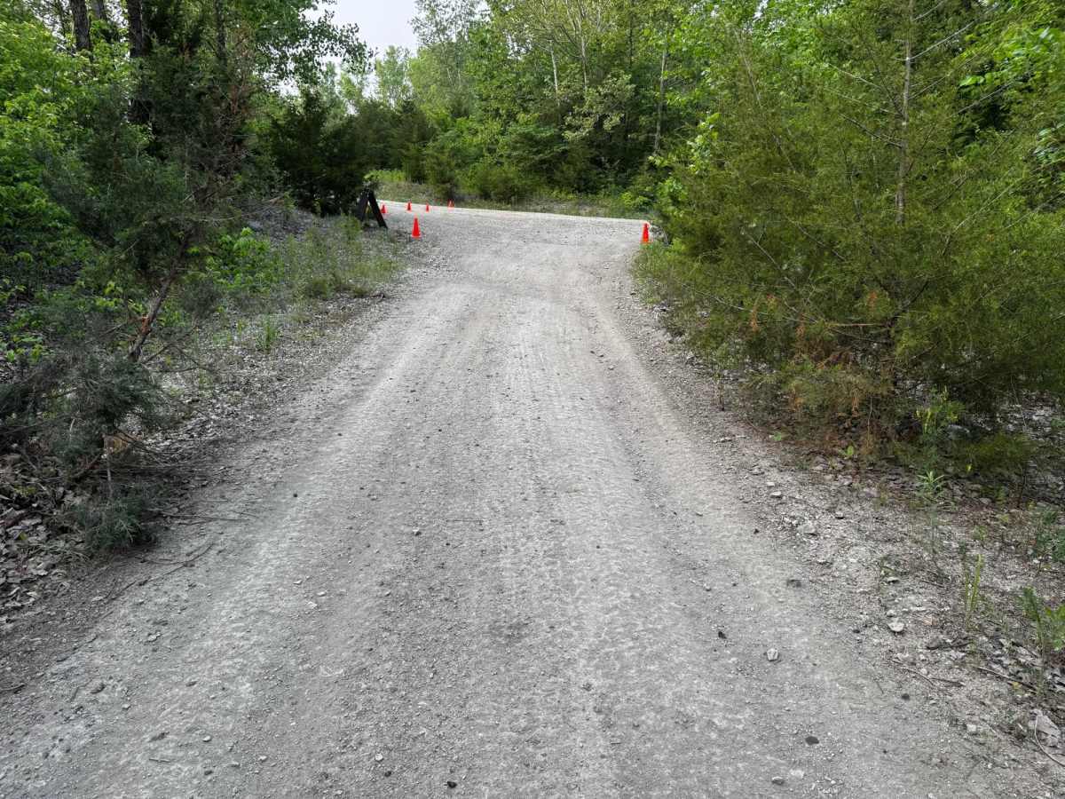 Green 161 photo 2