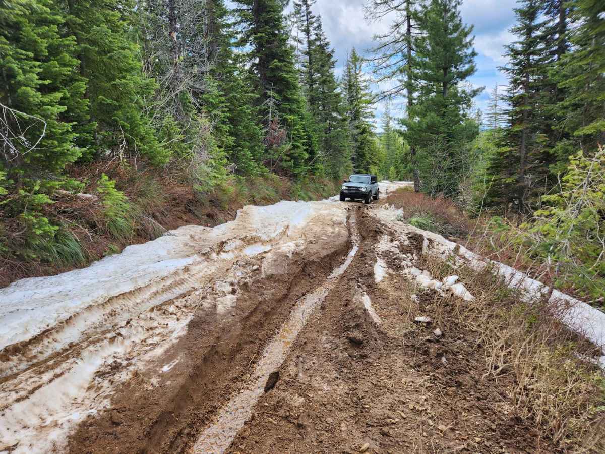 Bloom Peak Trail photo 5