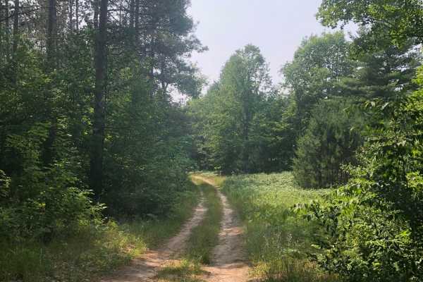 North Reynolds Loop