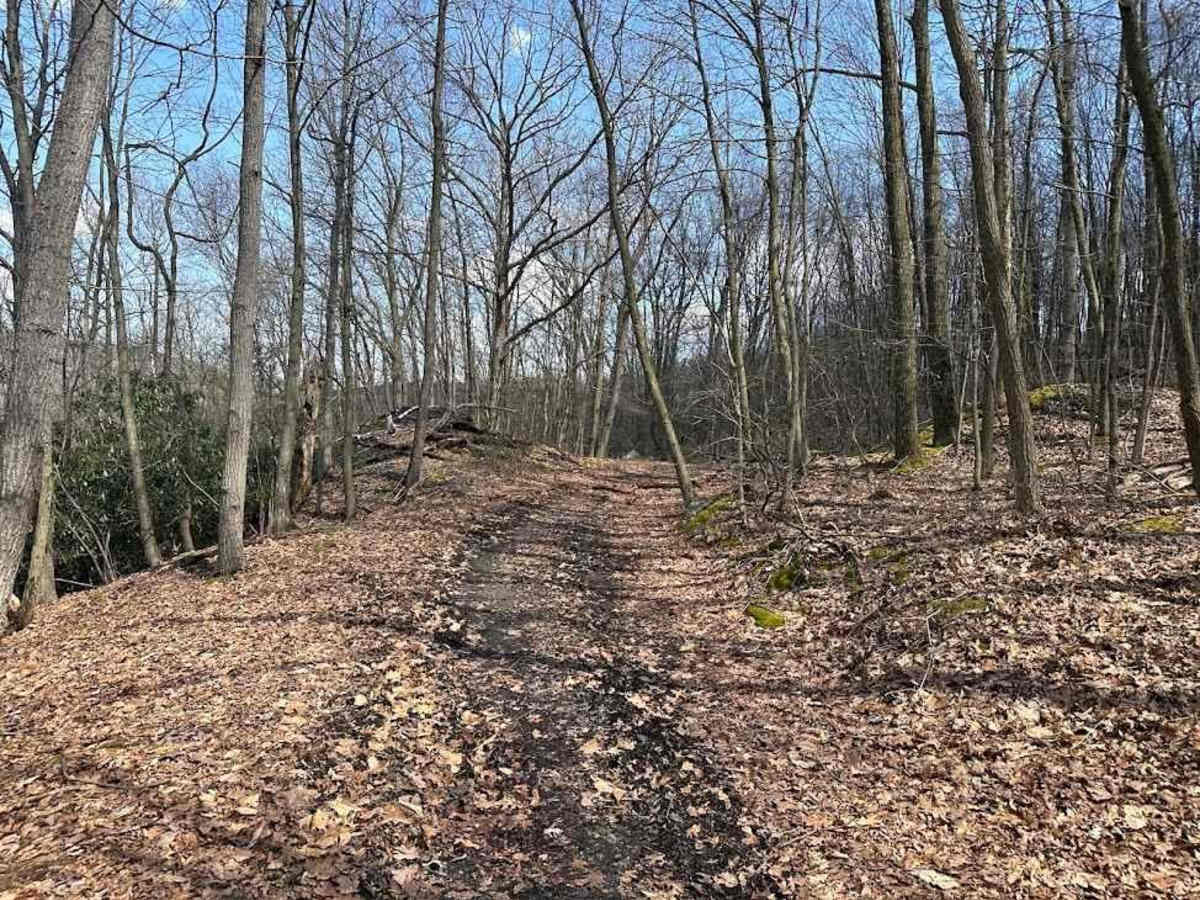 Ashland 125 photo 6
