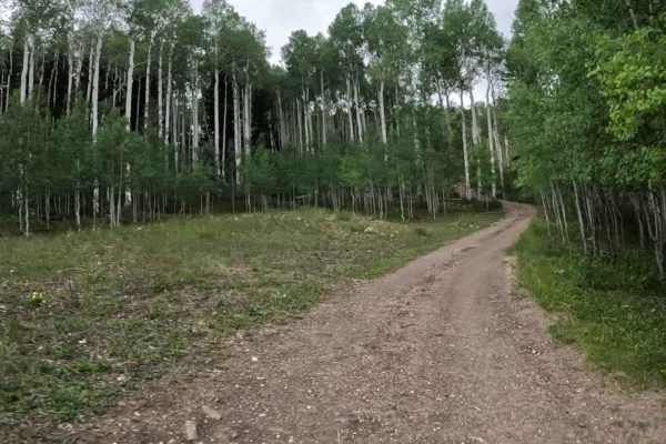 Willow Bunch