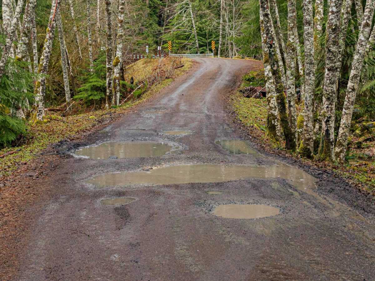 Dickman Mountain Lookout photo 5