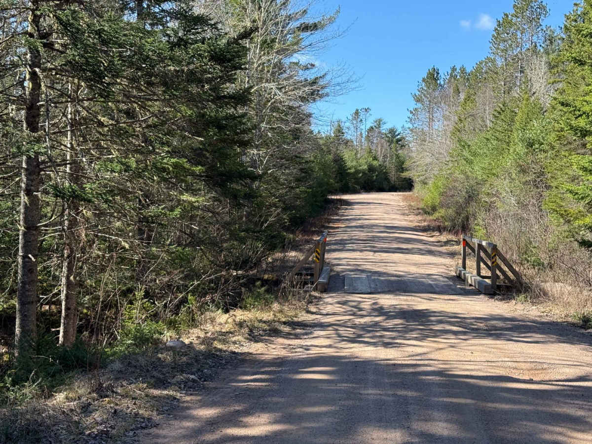 Fire Road photo 5