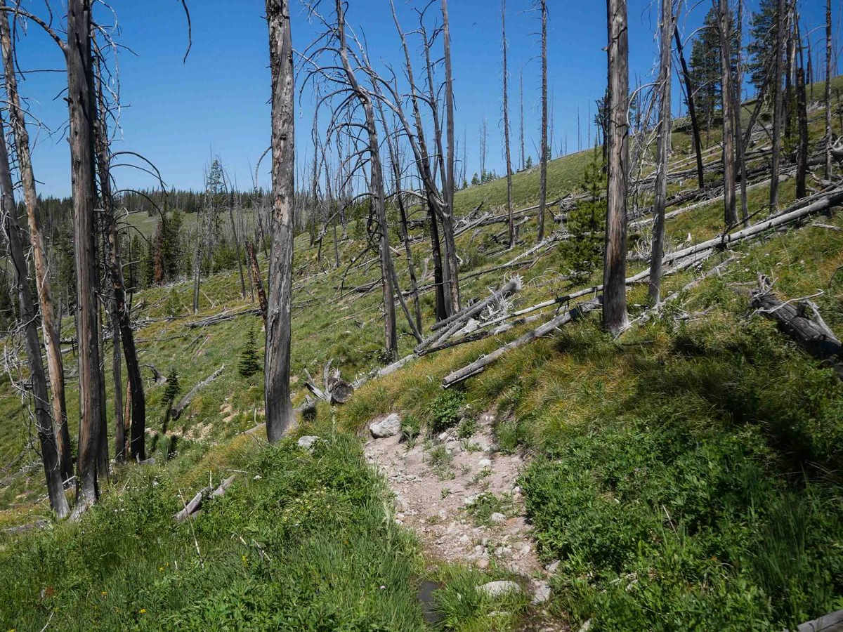 Colter Creek photo 4