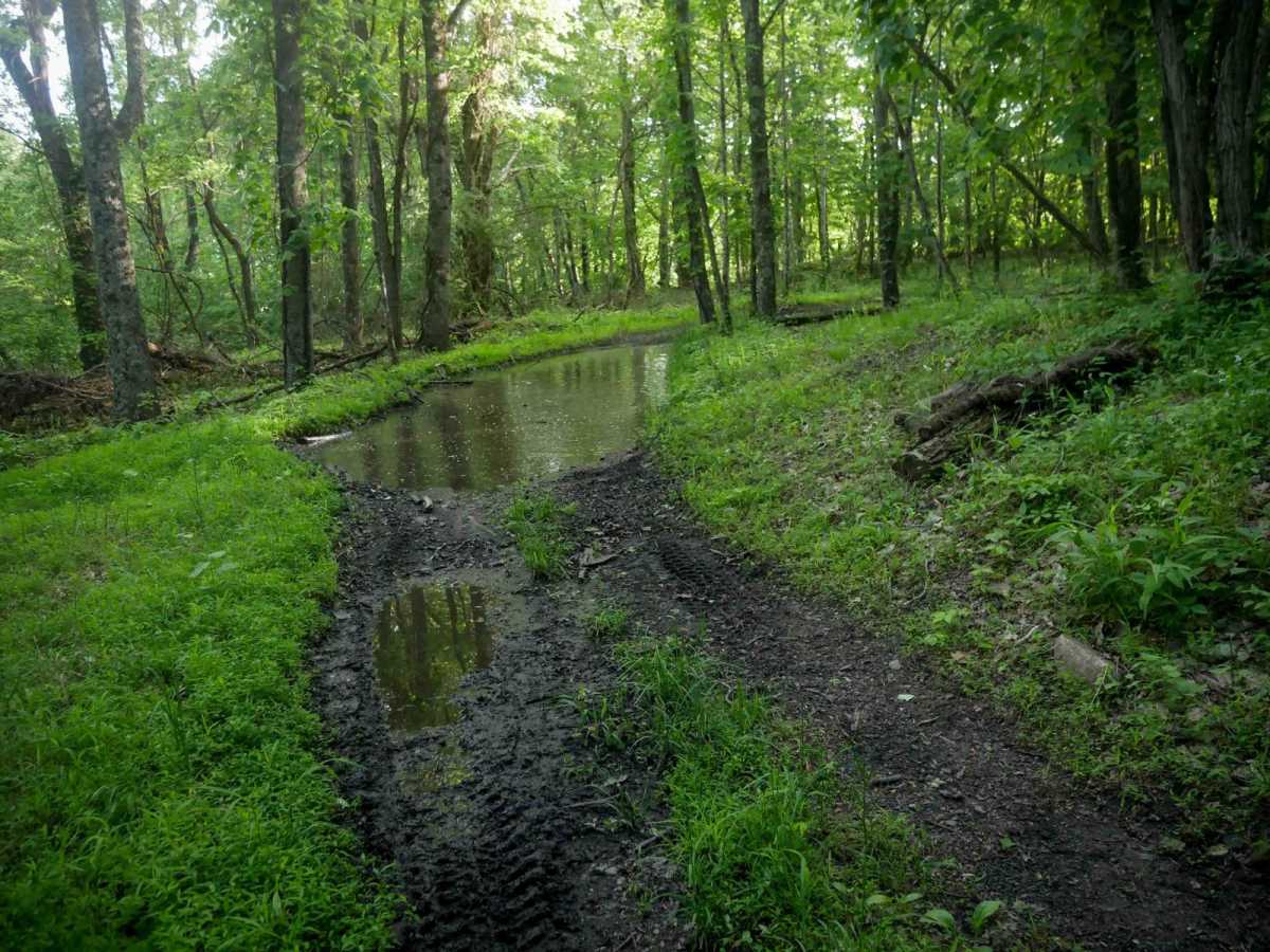 MV12 trail photo