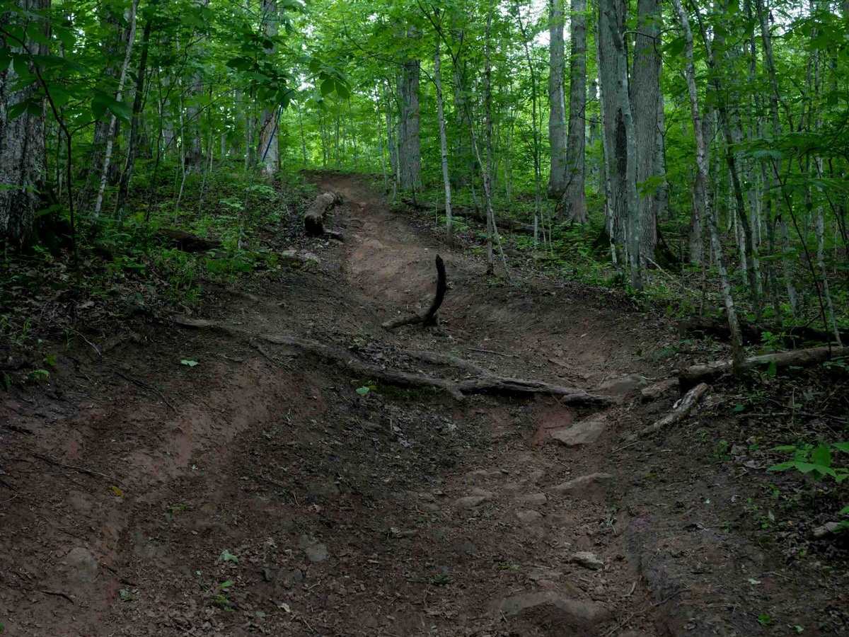T13 photo 2