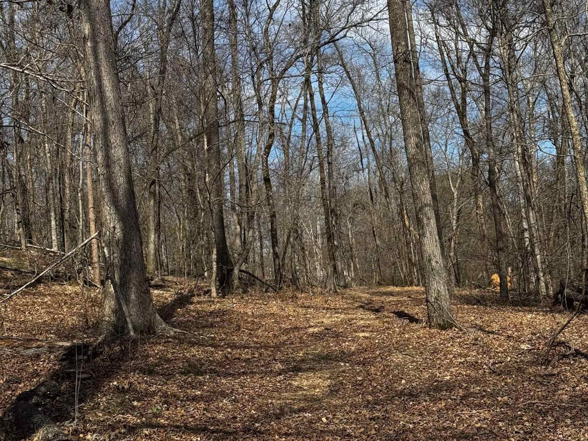 Hillside Trail photo 4
