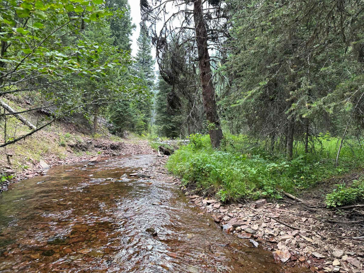 South Boulder Creek Loop photo 3