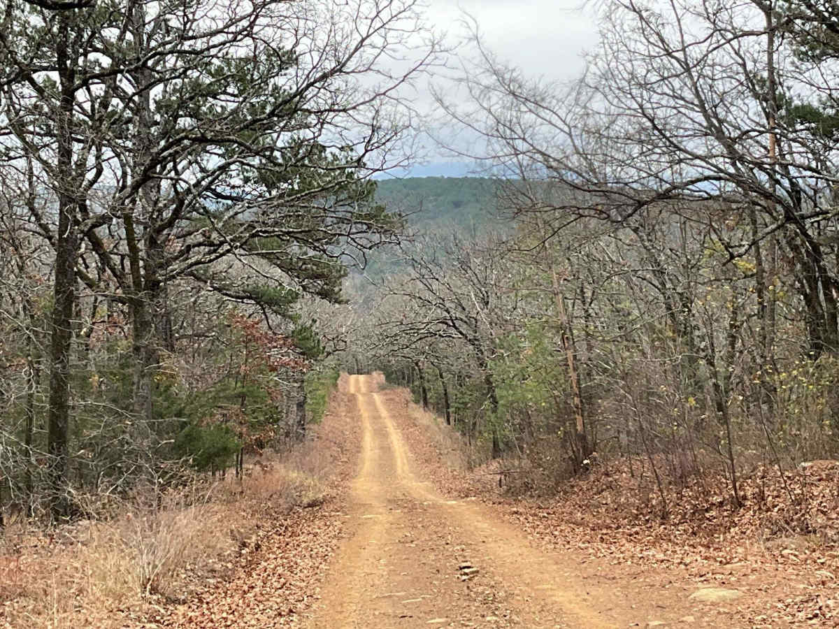 Tram Ridge Trail photo 4