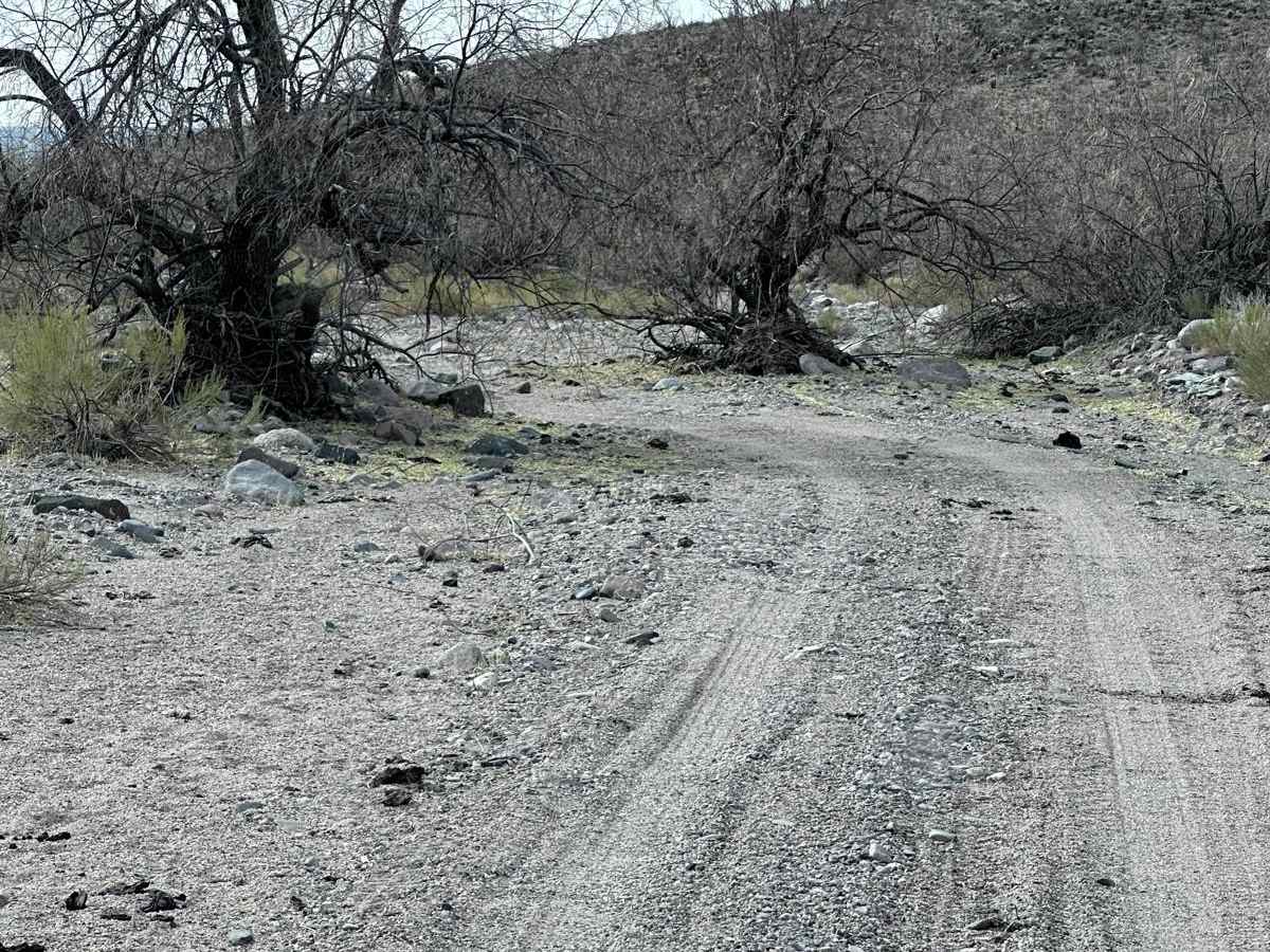 Number Five Trough Trail photo 2